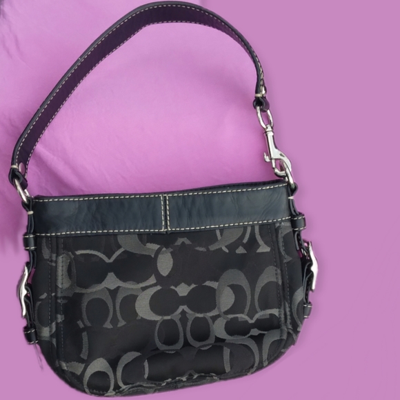 Coach Bags Coach Zoe Conventional Signature Hobo Shoulder Bag